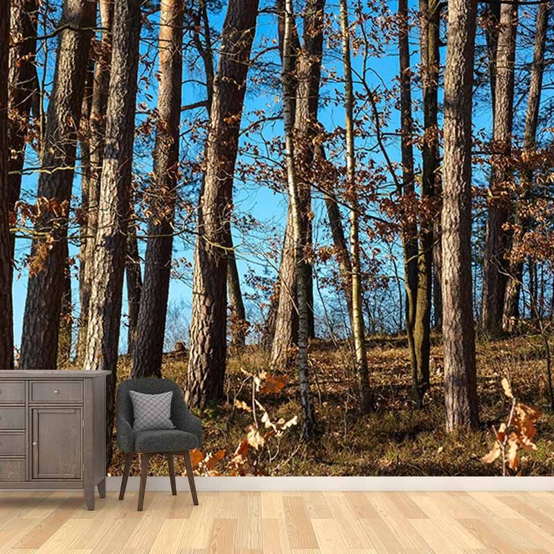 Bedroom Mildew Resistant Wall Mural Wallpaper Forest Landscapes Pattern