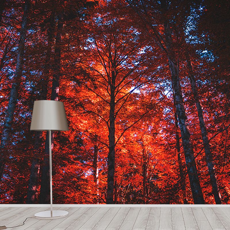 Quiet Forest Photography Mural Wallpaper Decorative Bedroom Wall Mural