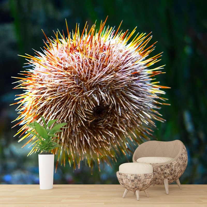 Sea Urchin Contemporary Mural Decal Sitting Room Moisture Resistant Wall Decor