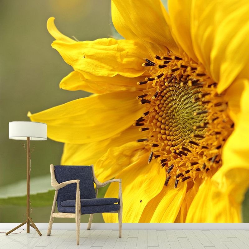 Customized Contemporary Sunflower Mural Mildew Resistant for Sitting Room Bedroom