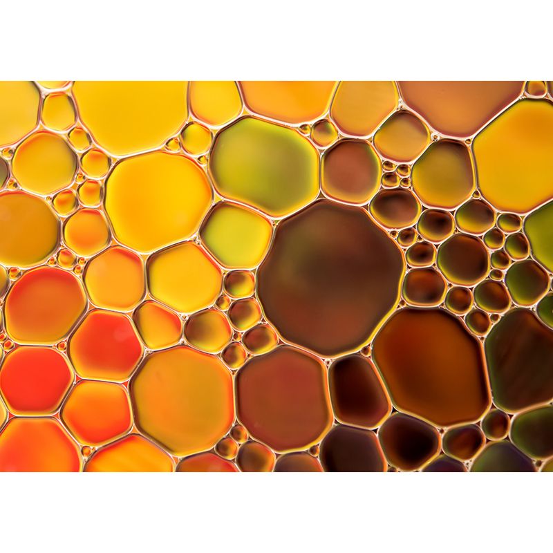 Abstract Style Mildew Resistant Wallpaper Photography Sleeping Room Wall Mural