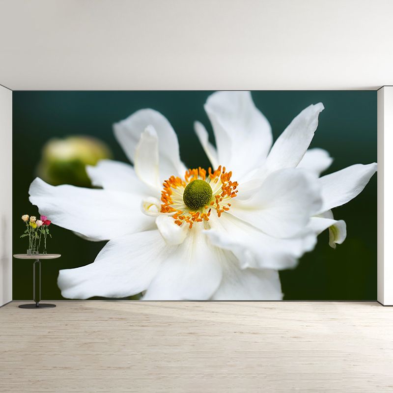 Beautiful Flower Mural Wallpaper Photography Horizontal Wall Decor for Home