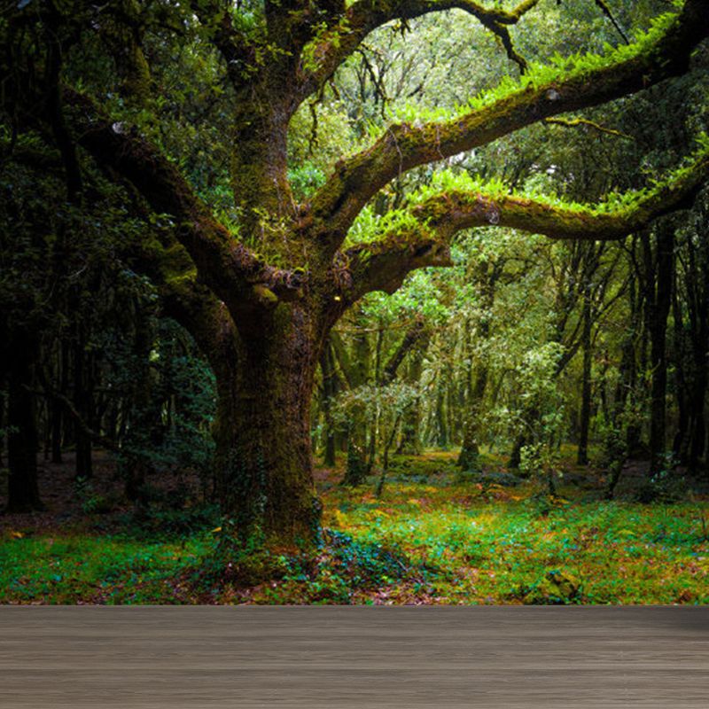 Extra Large Forest Trees Mural Green Non-Woven Wall Art for Indoor Decor, Custom Printed