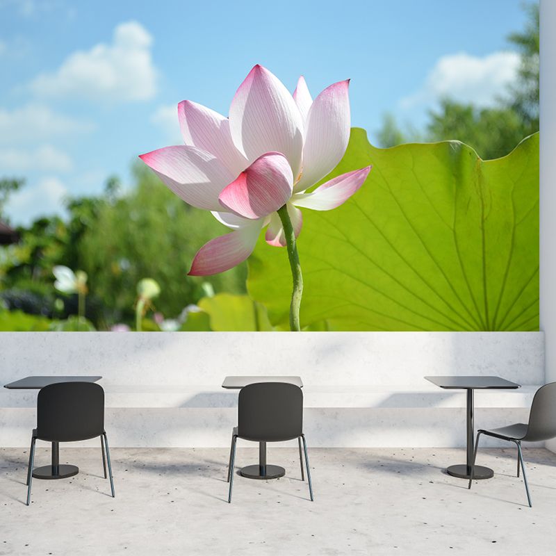 Pink Lotus Blossoming Moisture Resistant Wall Covering for Girls' Bedroom