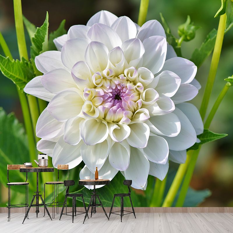 Modern Blossoming Flower Wall Mural Customized Size for Home Decoration