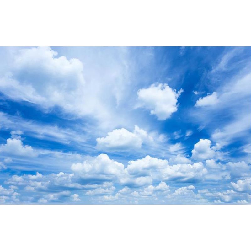 Full Size Illustration Modern Mural Decal with Sky Scene in Soft Color, Made to Measure