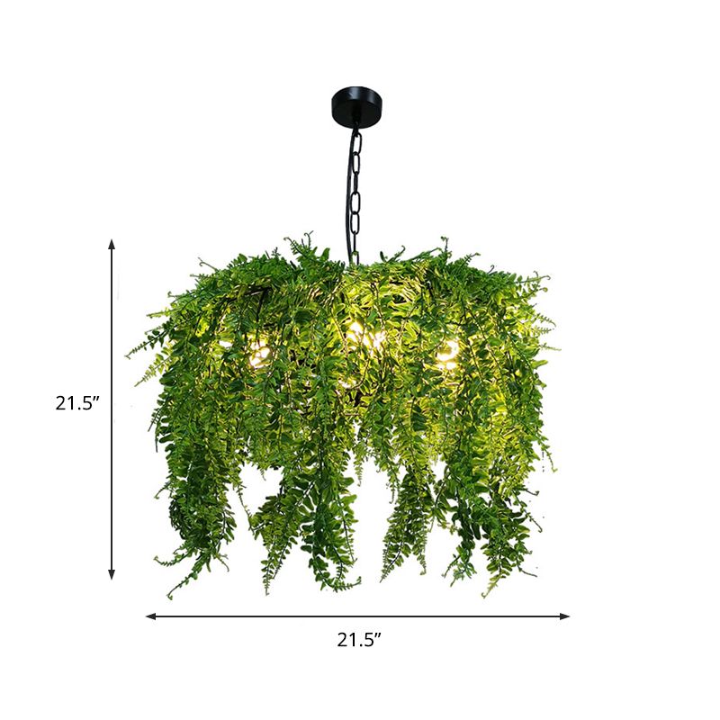 Luz de 5 luces lámpara de lámpara de lámpara de diseño de plantas verdes industriales Restaurante Light, 21.5 "/25.5" de ancho