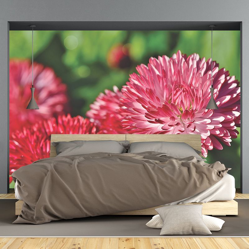 Dahlia Flower Wallpaper Mural Waterproofing
Living Room Wall Decoration