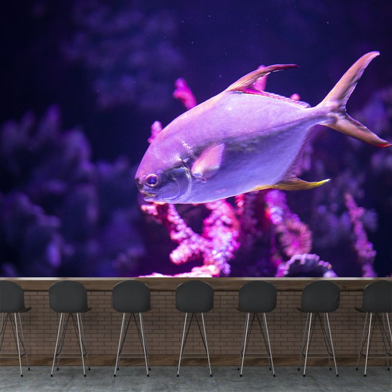 Interesting Underwater World Modern Wall Murals Wallpaper, Stain Resistant