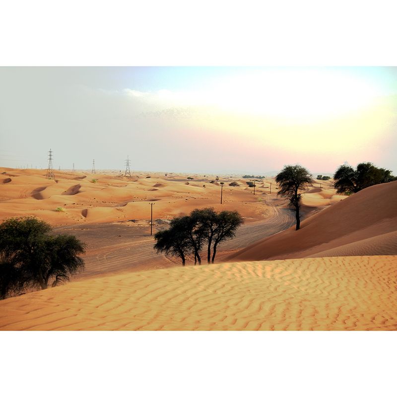 Desert Mural Decal Stain Resistant Living Room Wall Decor, Made to Measure