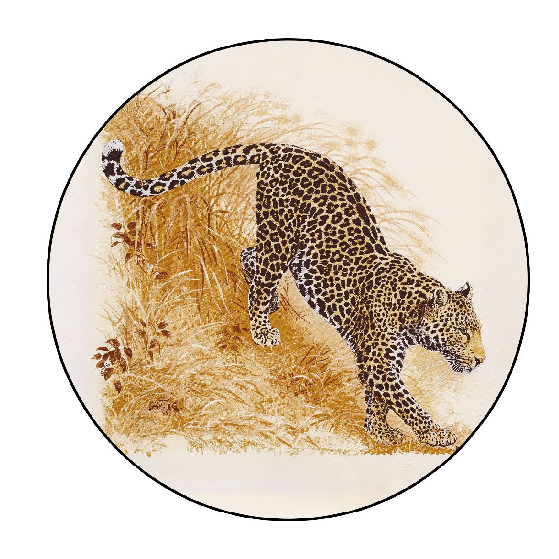 Oranje modern vloerkleed tijgerpatroon polyester gebied tapijt niet-slip achterste vloerkleed voor woningdecoratie