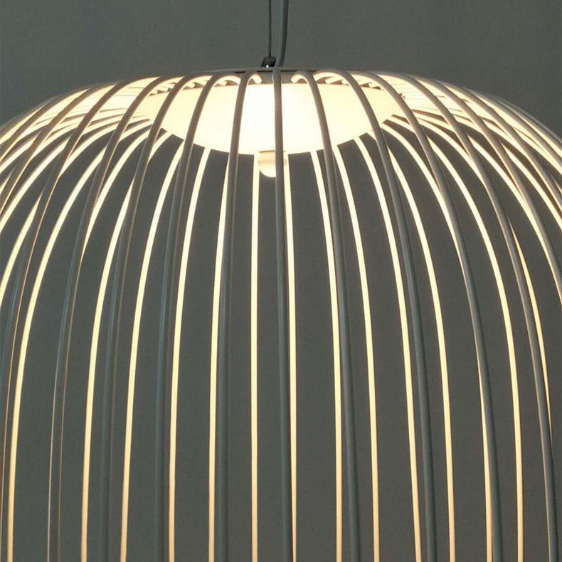 Simple Metal Hanging Light, Globe and Cage Shade 2-Light Hanging Lighting