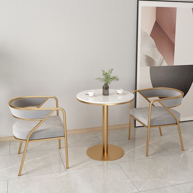 Dining Room Glam Chair Gold Legs Velvet Arm Chair with Upholstered