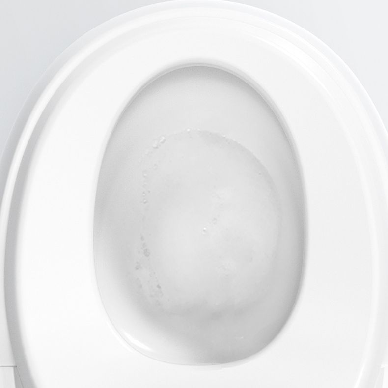 Contemporary 1-Piece Bidet Toilet Floor Mounted Round Toilet Bowl for Washroom
