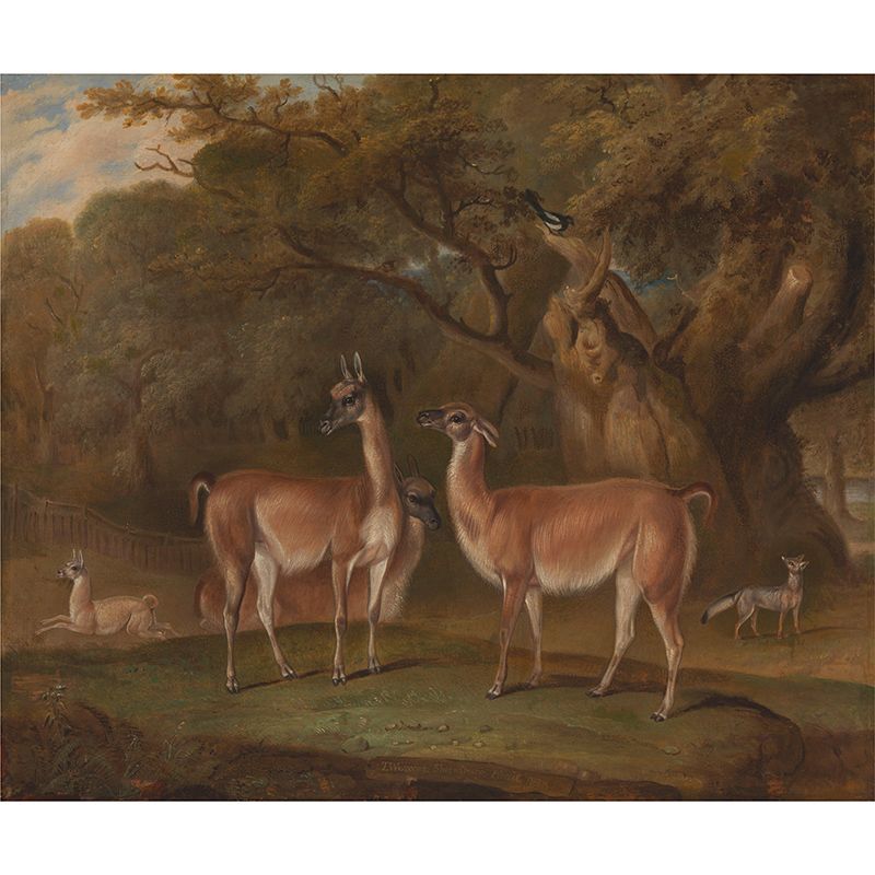 Deer Animal Wild Life Illustration Painting Mural Decorative Eco-friendly for Bedroom