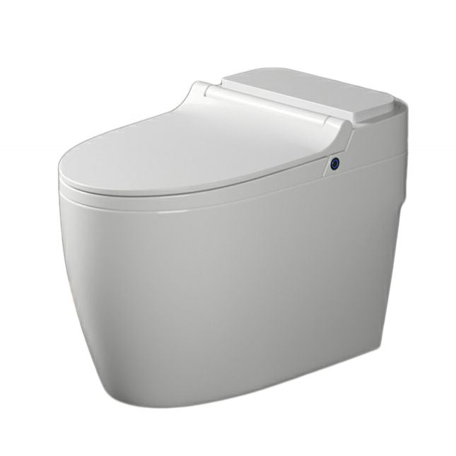 Modern Floor Mount Urine Toilet One Piece Toilet Bowl with Seat