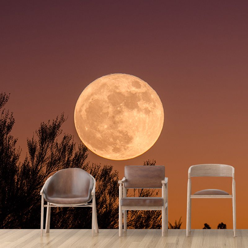 Beautiful Photography Mural Wallpaper Cosmos Decorative Indoor Wall Mural