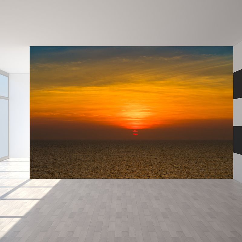 Stain Resistant Sky Mural Wallpaper Photography Indoor Wall Mural