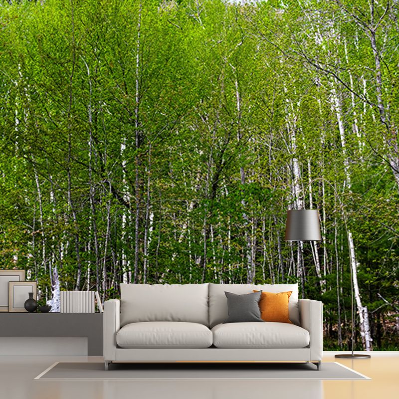 Forest Photo Wall Mural for Living Room Bedroom Wall Decor, Made to Measure