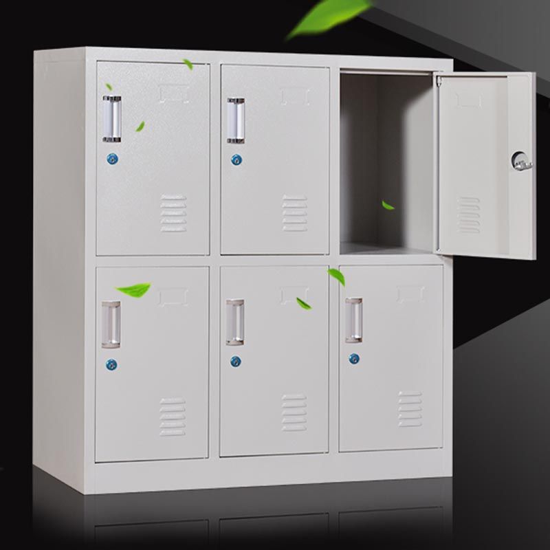 Indoor Non-Hanging Cabinet Contemporary Hinged Door Storage Cabinet