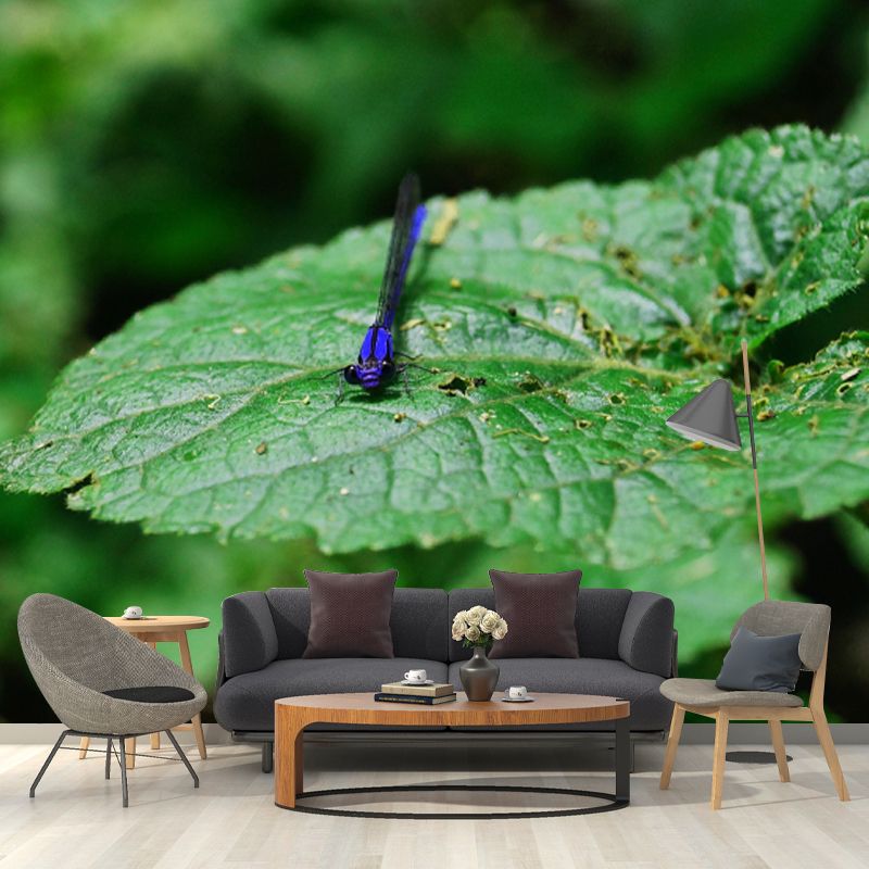 Customized Photography Dragonfly Mural Stain Resistant Wall Art for Dining Room