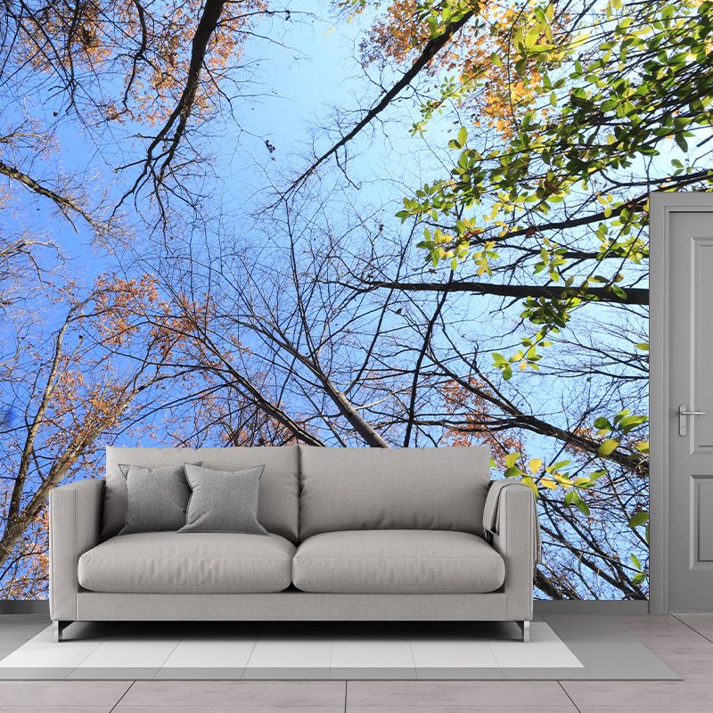 Modern Style Forest Wall Mural Wallpaper Photography Mildew Resistant for Home Decor