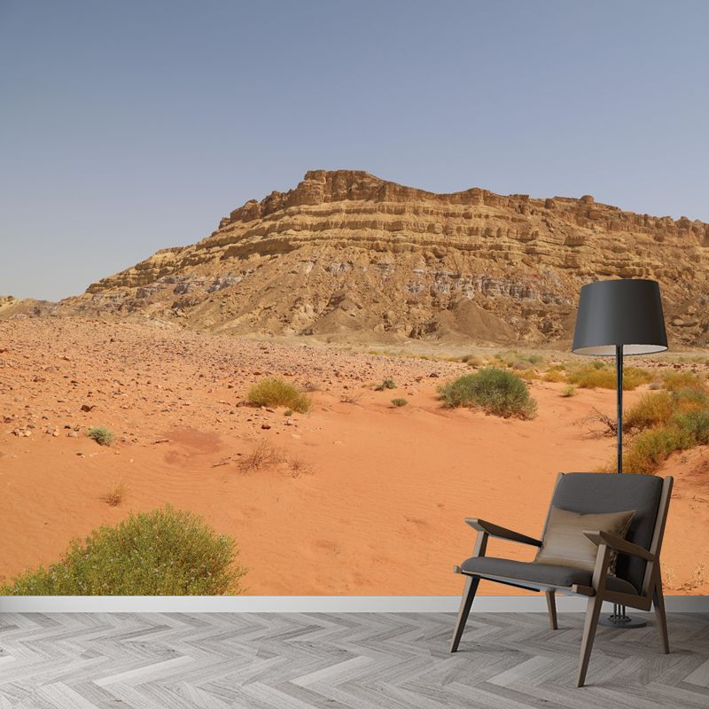 Customized Desert Mural Decorative Mildew Resistant Environmental for Bedroom