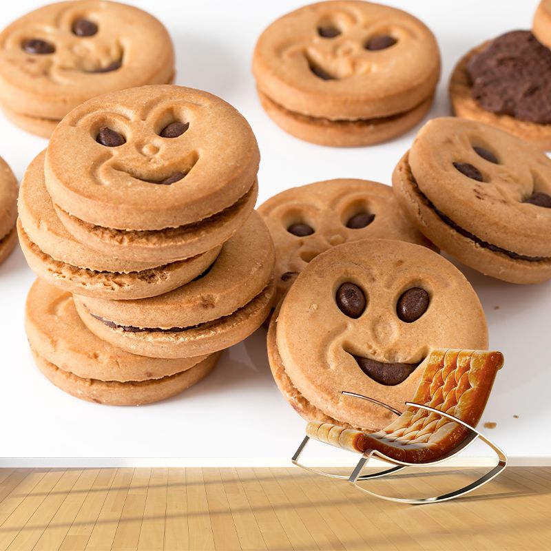 Modern Style Mini Cookie Mural Pattern Commercial Use Photography Wall Decor