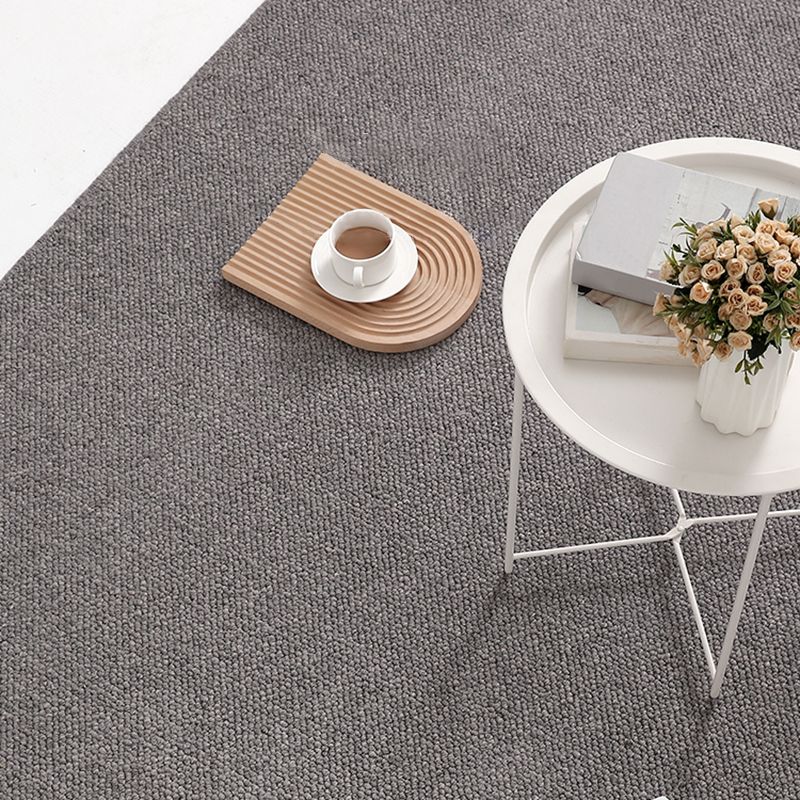 Grey Modern Area Carpet Slid Color Polyester Area Rug Washable Easy Care Rug for Living Room