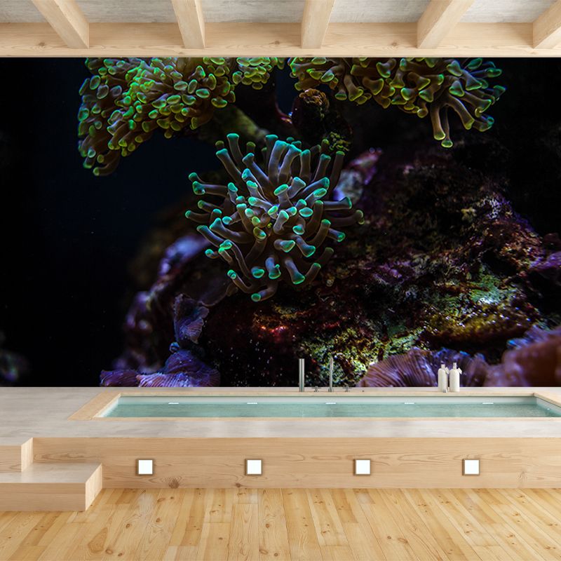 Tropical Seabed Creatures Home Decor Simple Bedroom Wall Decoration Wallpaper