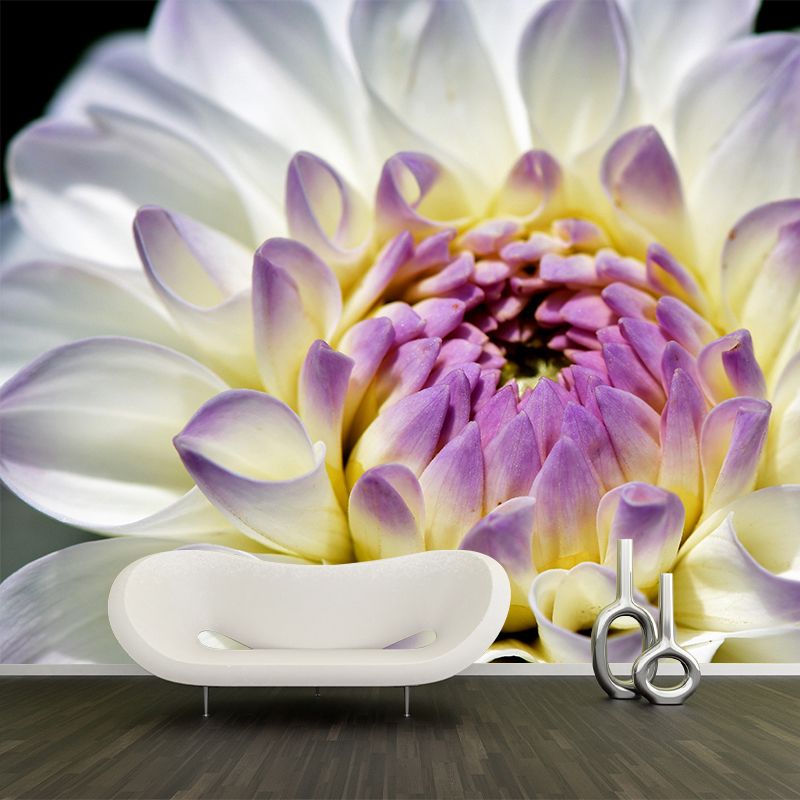 Dahlia Mural Wallpaper Wall Covering Mildew Resistant for Sleeping Room