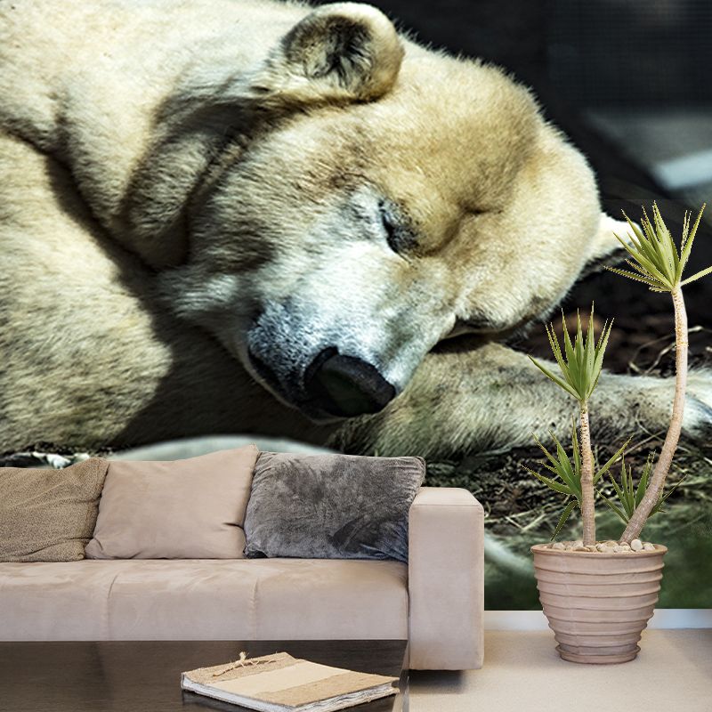 Polar Bear Mural Wallpaper Mildew Resistant Wall Covering for House Interior