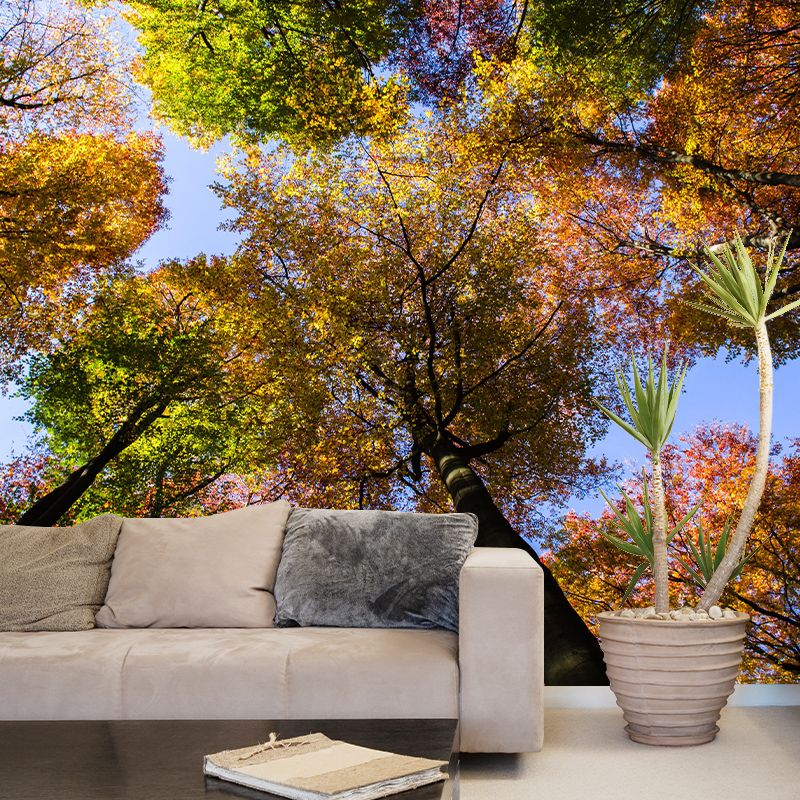 Beautiful Forest Mural Wallpaper Decorative Mildew Resistant Home Decor