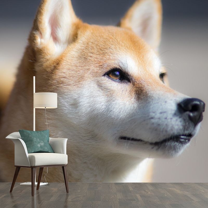 Shiba Inu Mural Environment Friendly Wallpaper Home Decoration for Bedroom