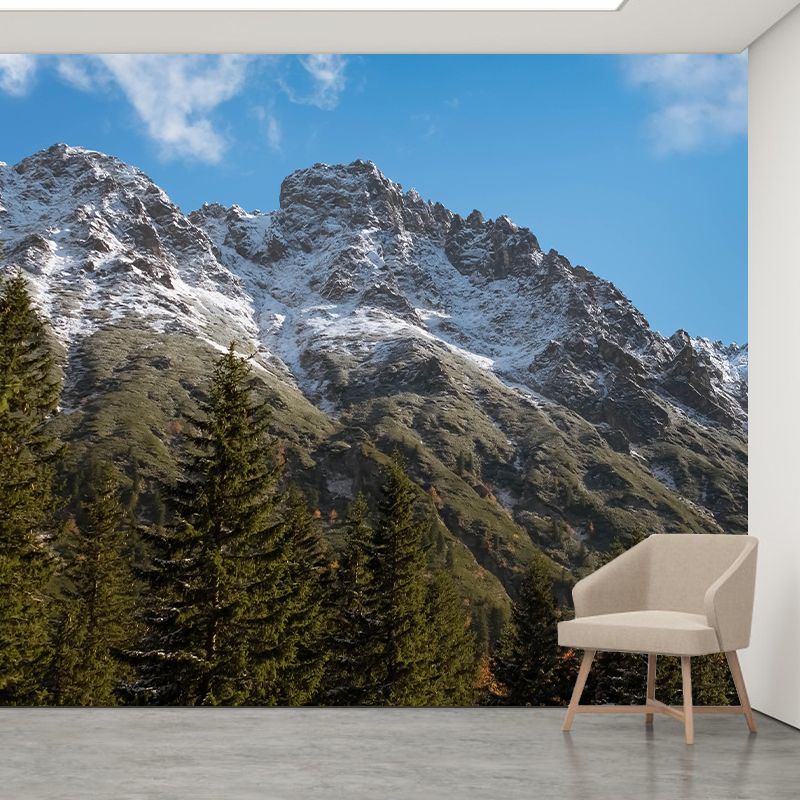 Customized Mountain Landscapes Mural Eco-friendly Wallpaper for Room
