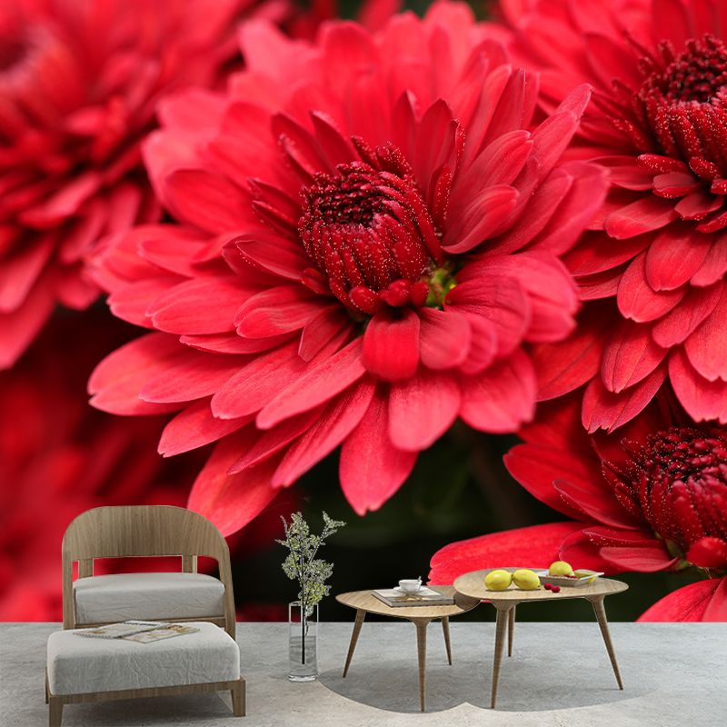 Gerbera Flower Mural Wallpaper Wall Covering Mildew Resistant for Sleeping Room