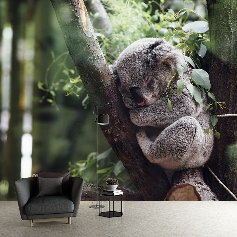 Modern Cute Koala Mural Wall Decor Mildew Resistant Living Room Wall Mural for Wall Decor