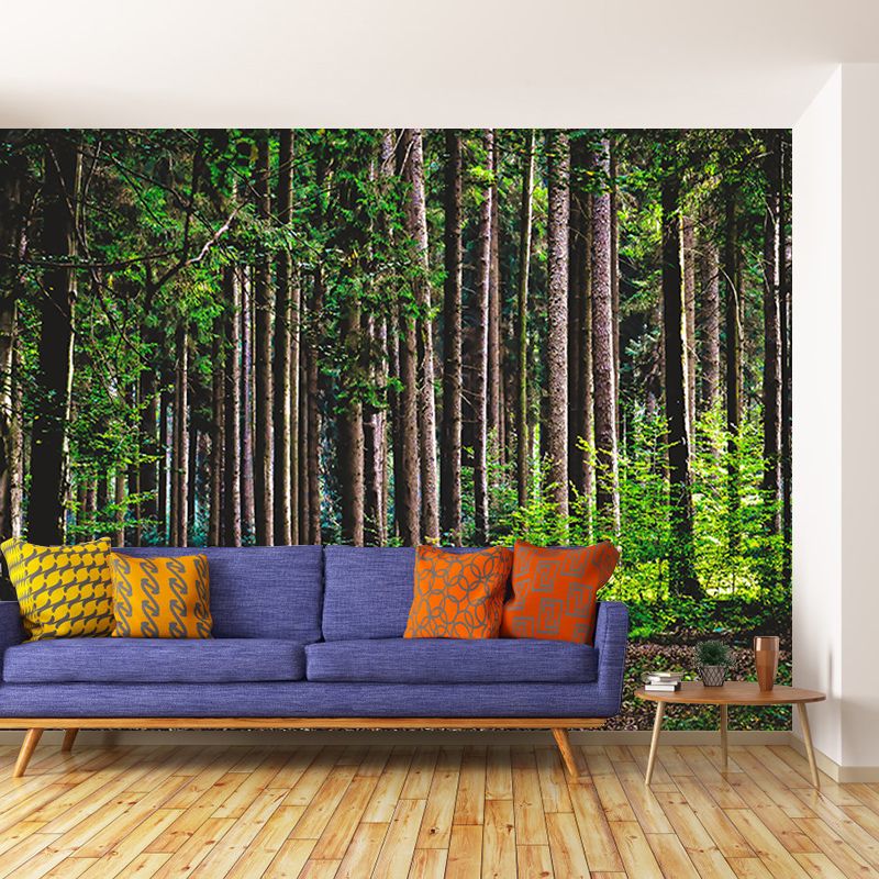 Forest Photo Wall Mural for Living Room Moisture Resistant, Customized Size