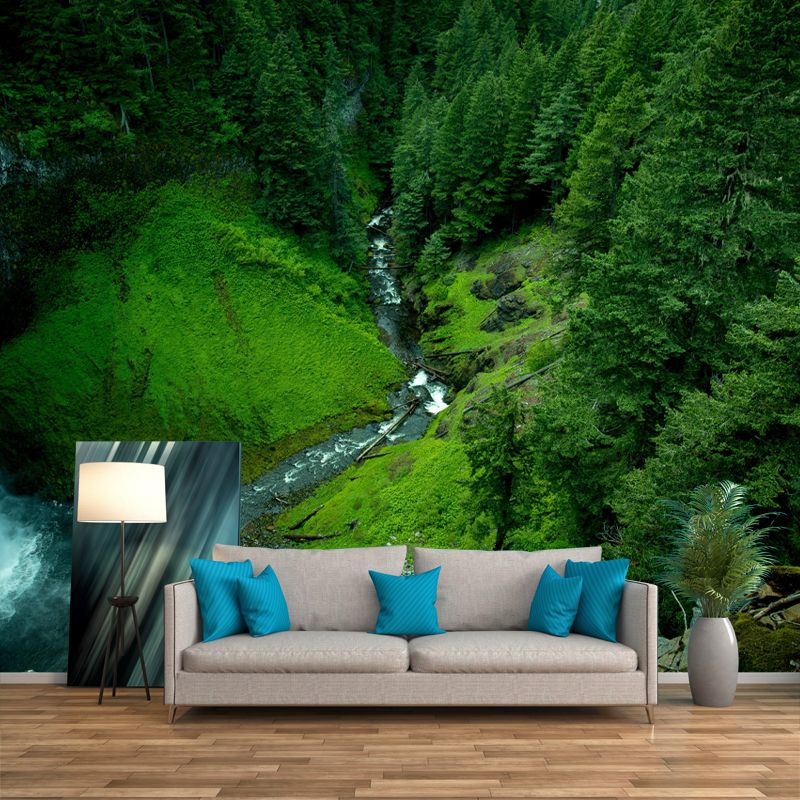 Huge Forest Landscapes Mural Photography Wall Covering for Dining Room