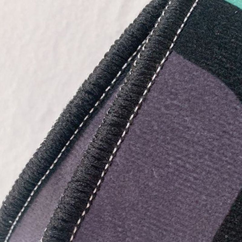 Contemporary Indoor Rug Trendy Area Carpet Polyester Stain Resistant Rug for Living Room