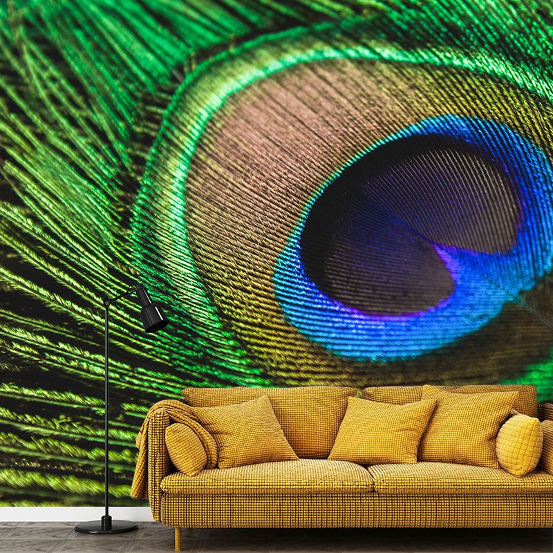 Peacock Feather Wall Mural Home Decor Mildew Resistant for Sitting Room