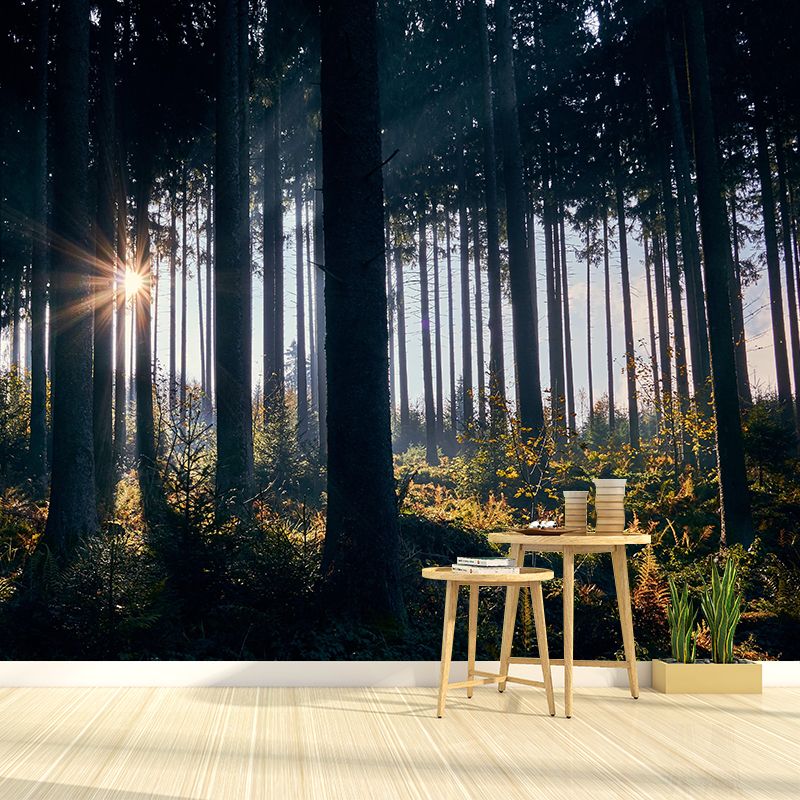 Photography Forest Mural Wallpaper for Sitting Room Decor Multiple Sizes Available