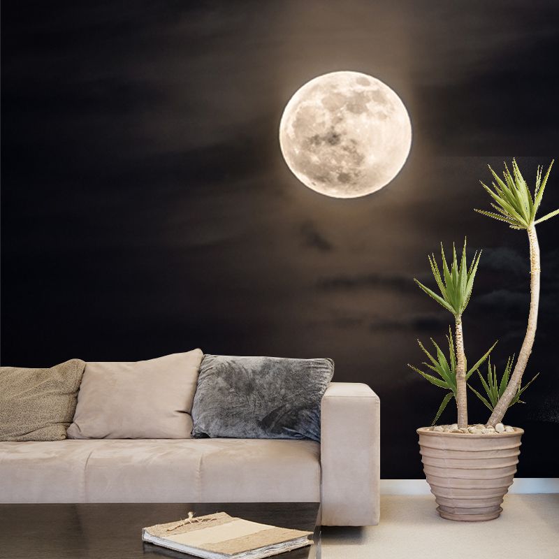 Modern Pastel Moonshine Mural for Bedroom Customized Wall Decor in Black and White