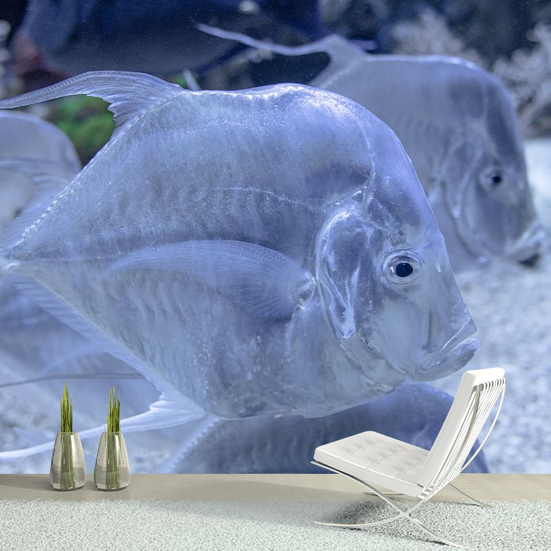 Marine Life Mural Environment Friendly Wallpaper Home Decoration for Living Room