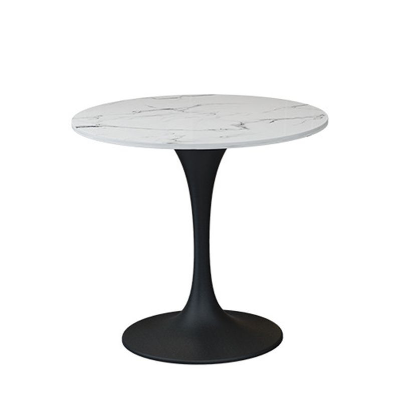 Contemporary Sintered Stone Dining Table Set Round 1/2/4/5 Pieces Dining Set