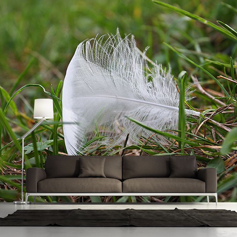 Living Room Wall Mural Wallpaper Modern Bird Feather Mildew Resistant Wall Decor