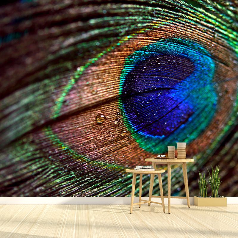 Peacock Feather Wall Mural Wallpaper Stain Resistant Wall Decor for Room