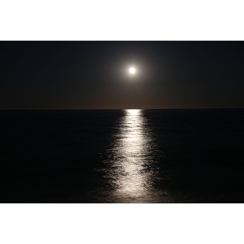 Full Size Sea Wall Mural Contemporary Decorative Environment Friendly for Home