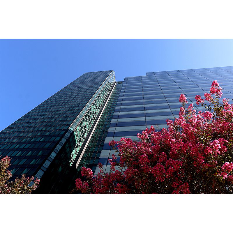 Architecture Photo Moisture Resistant Mural Decal Modern Wall Decor for Meeting Room