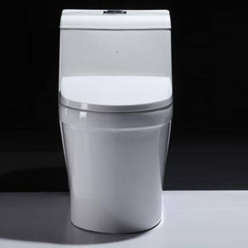Contemporary Floor Mounted Toilet Seat Included Toilet Bowl for Bathroom